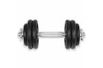 vidaXL 91410 18 Piece Dumbbell Set 30 Kg Cast Iron vidaXL 91410 18 Piece Dumbbell Set 30 Kg Cast Iron