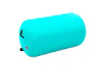 vidaXL 92713 Inflatable Gymnastic Roll With Pump 100x60cm Pvc Green vidaXL 92713 Inflatable Gymnastic Roll With Pump 100x60cm Pvc Green