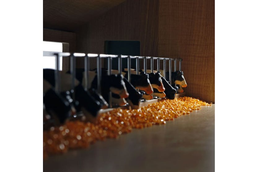 Kids Globe 410908 Cow Barn 1:32 610540 Kids Globe 410908 Cow Barn 1:32 610540