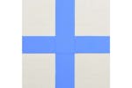 vidaXL 92683 Inflatable Gymnastics Mat With Pump 500x100x20cm Pvc Blue vidaXL 92683 Inflatable Gymnastics Mat With Pump 500x100x20cm Pvc Blue