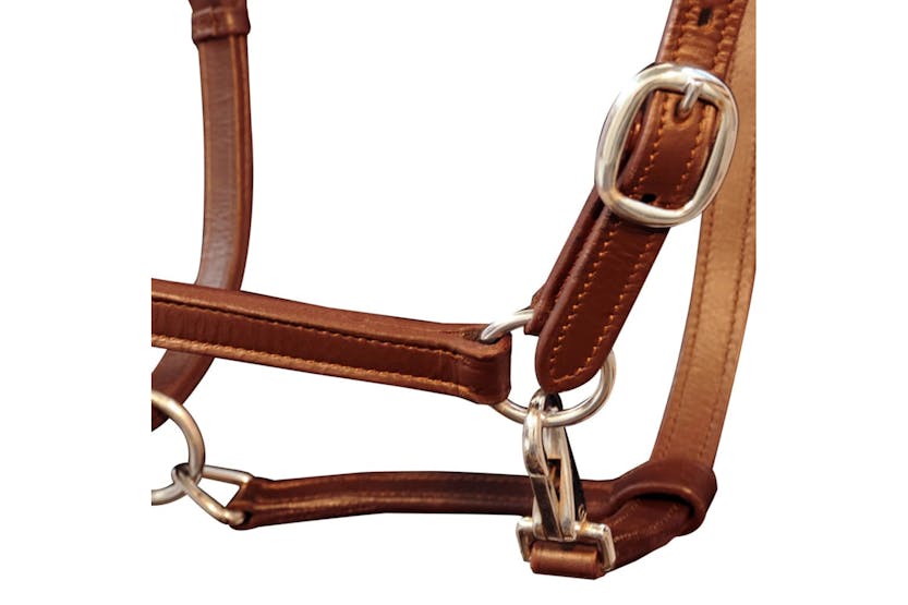 vidaXL 90886 Real Leather Headcollar Stable Halter Adjustable Brown Pony vidaXL 90886 Real Leather Headcollar Stable Halter Adjustable Brown Pony