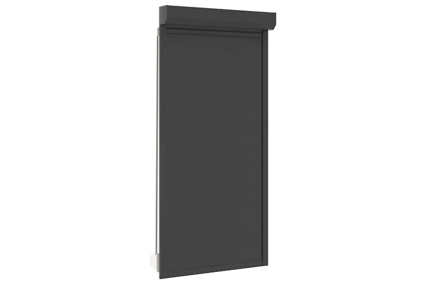 Vidaxl Roller Shutter Aluminium 100x210 Cm Anthracite Vidaxl Roller Shutter Aluminium 100x210 Cm Anthracite