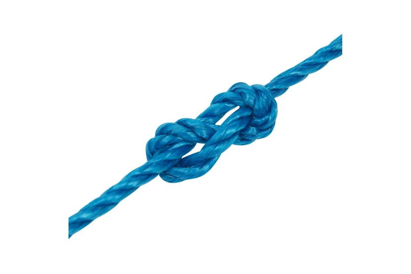 vidaXL 152967 Work Rope Blue 8mm 25 M Polypropylene vidaXL 152967 Work Rope Blue 8mm 25 M Polypropylene