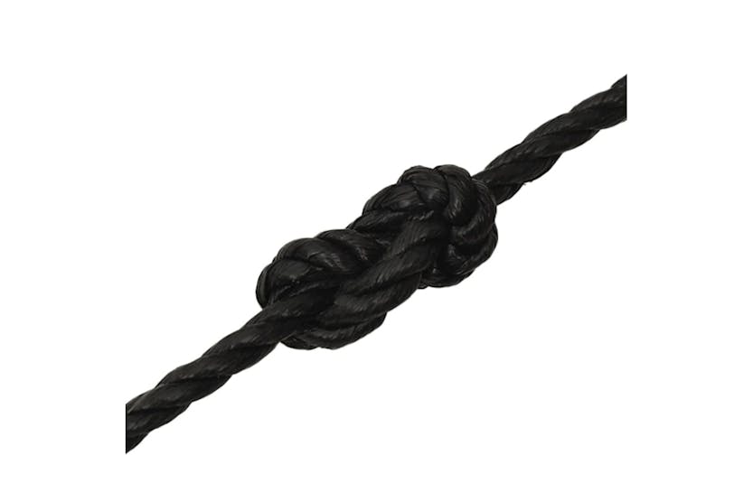 vidaXL 153019 Work Rope Black 12mm 250 M Polypropylene vidaXL 153019 Work Rope Black 12mm 250 M Polypropylene