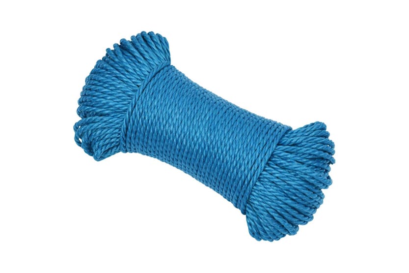 vidaXL 152964 Work Rope Blue 6mm 100 M Polypropylene vidaXL 152964 Work Rope Blue 6mm 100 M Polypropylene
