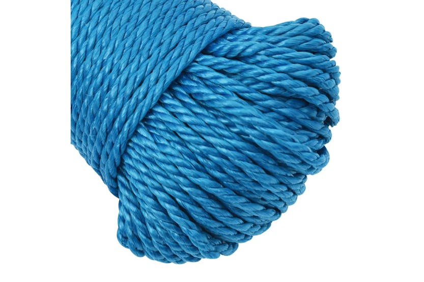 vidaXL 152961 Work Rope Blue 3mm 500 M Polypropylene vidaXL 152961 Work Rope Blue 3mm 500 M Polypropylene