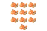 vidaXL 142659 Ratchet Tie Down Straps 10pcs 0.4 Tonnes 6mx25mm Orange vidaXL 142659 Ratchet Tie Down Straps 10pcs 0.4 Tonnes 6mx25mm Orange