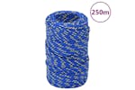 vidaXL 152426 Boat Rope Blue 2mm 250 M Polypropylene vidaXL 152426 Boat Rope Blue 2mm 250 M Polypropylene