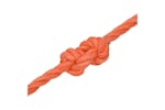 vidaXL 152933 Work Rope Orange 10mm 25 M Polypropylene vidaXL 152933 Work Rope Orange 10mm 25 M Polypropylene