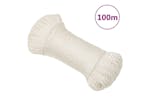 vidaXL 153037 Work Rope White 3mm 100 M Polypropylene vidaXL 153037 Work Rope White 3mm 100 M Polypropylene