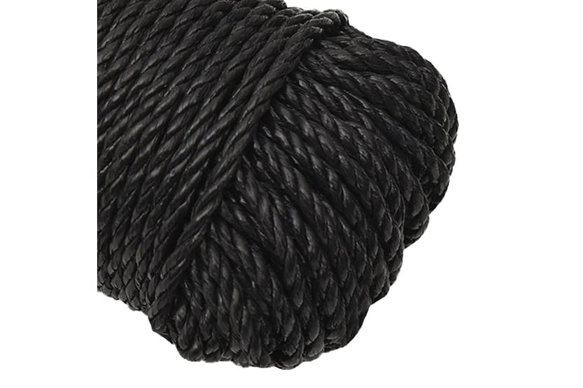 vidaXL 153001 Work Rope Black 6mm 25 M Polypropylene vidaXL 153001 Work Rope Black 6mm 25 M Polypropylene