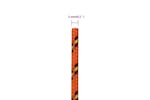 vidaXL 152643 Boat Rope Orange 3mm 250 M Polypropylene vidaXL 152643 Boat Rope Orange 3mm 250 M Polypropylene