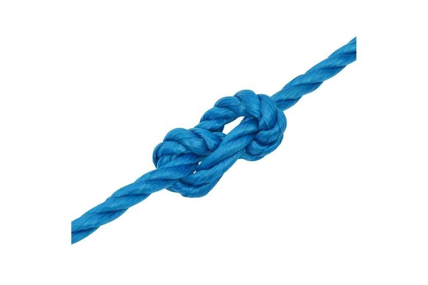 vidaXL 152982 Work Rope Blue 14mm 25 M Polypropylene vidaXL 152982 Work Rope Blue 14mm 25 M Polypropylene