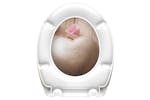 Schutte 435104 Duroplast Toilet Seat With Soft-close Romantic Printed Schutte 435104 Duroplast Toilet Seat With Soft-close Romantic Printed