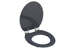 Schutte 438738 Toilet Seat With Soft-close Spirit Athrazit Anthracite Matte Schutte 438738 Toilet Seat With Soft-close Spirit Athrazit Anthracite Matte