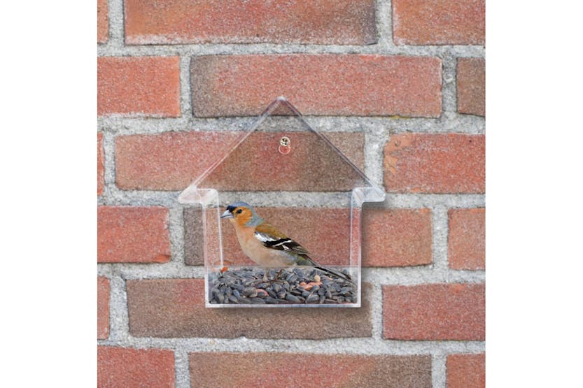 Esschert Design 411455 Acrylic Window Feeder House 15x10x15.3 Cm Fb370 Esschert Design 411455 Acrylic Window Feeder House 15x10x15.3 Cm Fb370