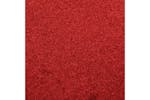 vidaXL 331580 Doormat Red 40x60cm vidaXL 331580 Doormat Red 40x60cm