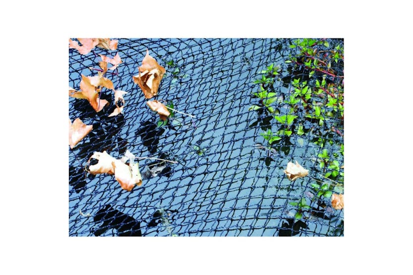Velda 410160 Vt Pond Netting 6x10 M 148043 Velda 410160 Vt Pond Netting 6x10 M 148043
