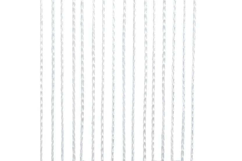vidaXL 132398 String Curtains 2 Pcs 100x250cm White vidaXL 132398 String Curtains 2 Pcs 100x250cm White