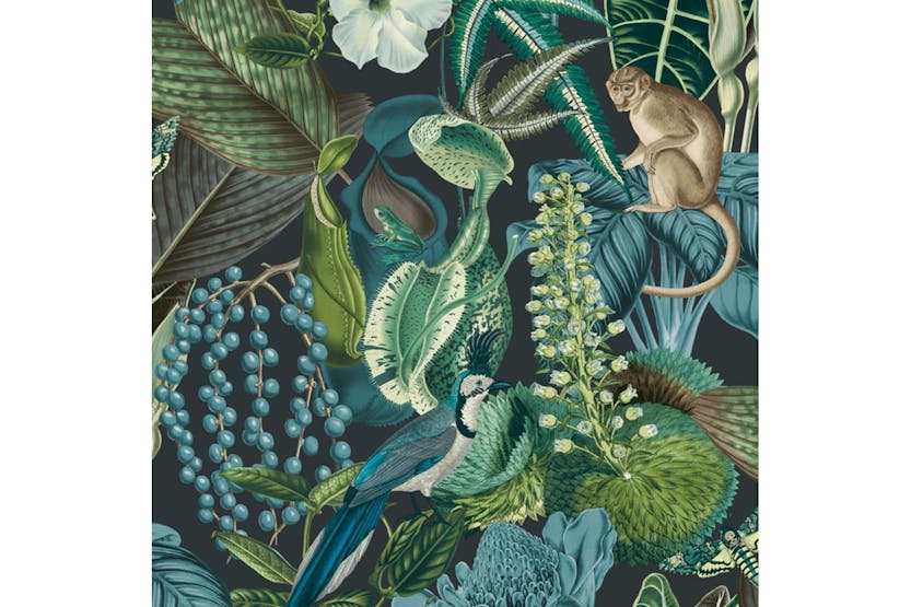 Dutch Wallcoverings 437377 Wallpaper Amazon Multicolour Dutch Wallcoverings 437377 Wallpaper Amazon Multicolour