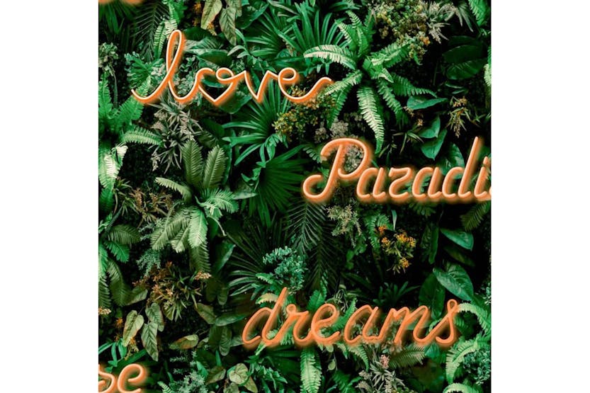 Noordwand 440415 Good Vibes Wallpaper Neon Letter With Plants Green And Orange Noordwand 440415 Good Vibes Wallpaper Neon Letter With Plants Green And Orange
