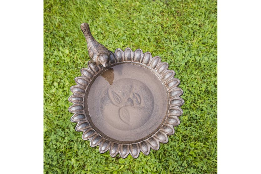 Hi 429171 Cast Iron Bird Bath/drink Tray Brown Hi 429171 Cast Iron Bird Bath/drink Tray Brown