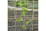 Nature 428490 Plant Climbing Netting Jute 1.8x5 M Nature 428490 Plant Climbing Netting Jute 1.8x5 M