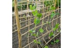 Nature 428490 Plant Climbing Netting Jute 1.8x5 M Nature 428490 Plant Climbing Netting Jute 1.8x5 M