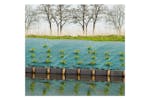 Nature 403706 Weed Control Ground Cover 1x10 M Green Nature 403706 Weed Control Ground Cover 1x10 M Green