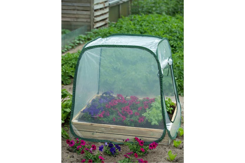 Nature 403673 Pop Up Greenhouse 100 X 100 X 100 Cm 6020408 Nature 403673 Pop Up Greenhouse 100 X 100 X 100 Cm 6020408