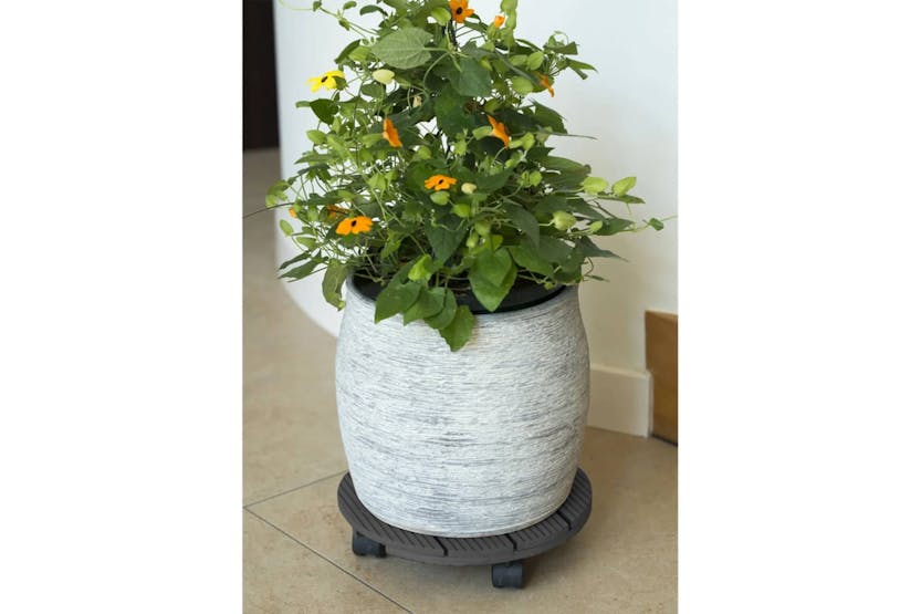 Nature 446401 Plant Trolley Round Ã30 Cm Anthracite Wood Nature 446401 Plant Trolley Round Ã30 Cm Anthracite Wood