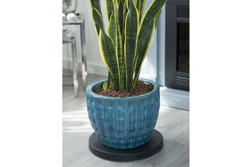 Nature 446400 Plant Trolley Ã39 Cm Anthracite Nature 446400 Plant Trolley Ã39 Cm Anthracite