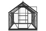 vidaXL 3082335 Glass Greenhouse Anthracite 155x298x191cm Aluminium vidaXL 3082335 Glass Greenhouse Anthracite 155x298x191cm Aluminium