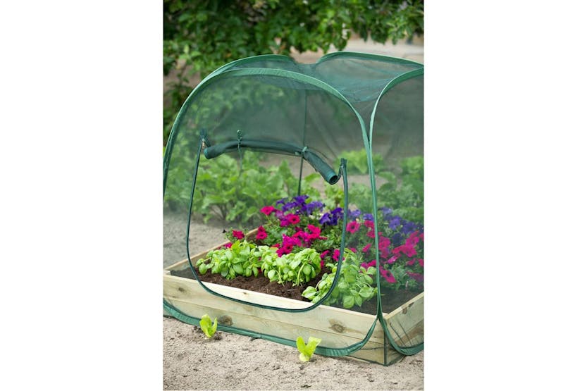 Nature 403674 Pop Up Greenhouse 100 X 100 X 100 Cm 6020409 Nature 403674 Pop Up Greenhouse 100 X 100 X 100 Cm 6020409
