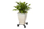 Nature 442636 Adjustable Plant Trolley 4-armed Metal Black Nature 442636 Adjustable Plant Trolley 4-armed Metal Black