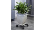 Nature 442636 Adjustable Plant Trolley 4-armed Metal Black Nature 442636 Adjustable Plant Trolley 4-armed Metal Black