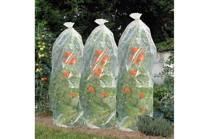 Nature 428491 Tomato Cultivation Film Cover 1500 X 50 Cm Nature 428491 Tomato Cultivation Film Cover 1500 X 50 Cm