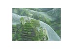 Nature 403682 Anti-insect Net Against Codling Moth 6030450 Nature 403682 Anti-insect Net Against Codling Moth 6030450