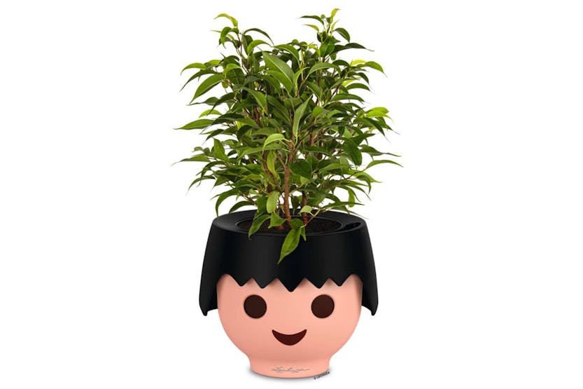 Lechuza 427375 Table Planter Ojo All-in-one Raven Black Lechuza 427375 Table Planter Ojo All-in-one Raven Black