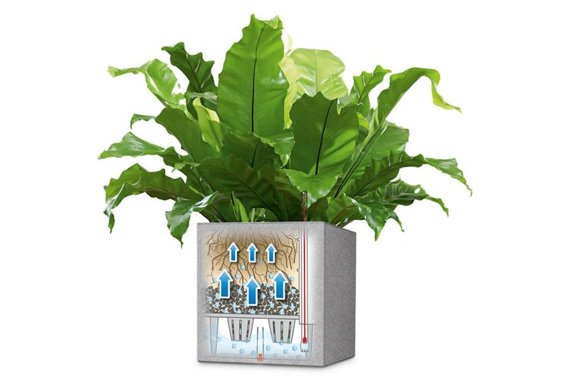 Lechuza 421442 Planter Canto Color Square 40 All-in-one Grey 13720 Lechuza 421442 Planter Canto Color Square 40 All-in-one Grey 13720