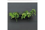 Nature 434648 Vertical Garden/herb And Flower Kit Nature 434648 Vertical Garden/herb And Flower Kit