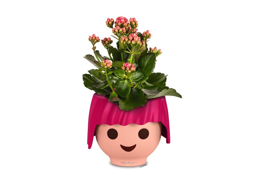 Lechuza 427370 Table Planter Ojo All-in-one Ruby Pink Lechuza 427370 Table Planter Ojo All-in-one Ruby Pink