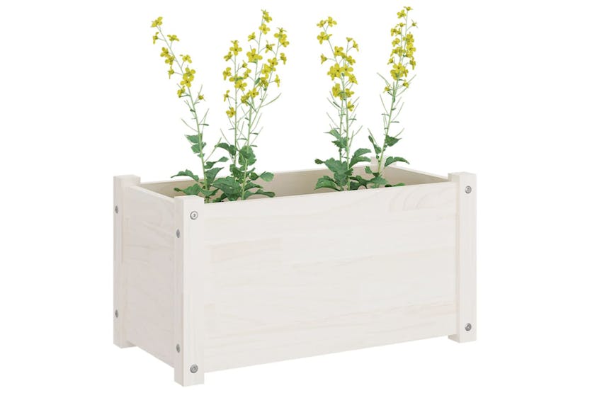 vidaXL 810707 Garden Planters 2 Pcs White 60x31x31cm Solid Pinewood vidaXL 810707 Garden Planters 2 Pcs White 60x31x31cm Solid Pinewood