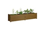 vidaXL 810746 Garden Raised Beds 2 Pcs Honey Brown 150x31x31cm Solid Pinewood vidaXL 810746 Garden Raised Beds 2 Pcs Honey Brown 150x31x31cm Solid Pinewood