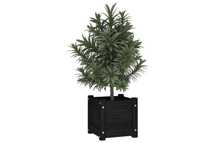 vidaXL 810531 Garden Planters 2 Pcs Black 31x31x31cm Solid Pinewood vidaXL 810531 Garden Planters 2 Pcs Black 31x31x31cm Solid Pinewood
