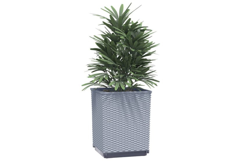 vidaXL 364186 Planters 4 Pcs Light Grey 30x30x37cm Polypropylene vidaXL 364186 Planters 4 Pcs Light Grey 30x30x37cm Polypropylene