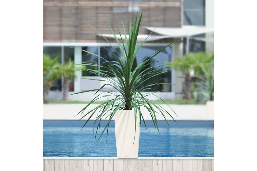 Lechuza 421424 Planter Cubico Color 30 All-in-one White 13130 Lechuza 421424 Planter Cubico Color 30 All-in-one White 13130