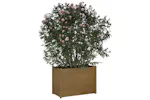 vidaXL 810737 Garden Planter Honey Brown 100x50x70cm Solid Pinewood vidaXL 810737 Garden Planter Honey Brown 100x50x70cm Solid Pinewood