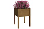 vidaXL 810805 Garden Planter Honey Brown 50x50x70cm Solid Pinewood vidaXL 810805 Garden Planter Honey Brown 50x50x70cm Solid Pinewood