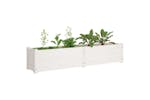vidaXL 810742 Garden Raised Beds 2 Pcs White 150x31x31cm Solid Pinewood vidaXL 810742 Garden Raised Beds 2 Pcs White 150x31x31cm Solid Pinewood